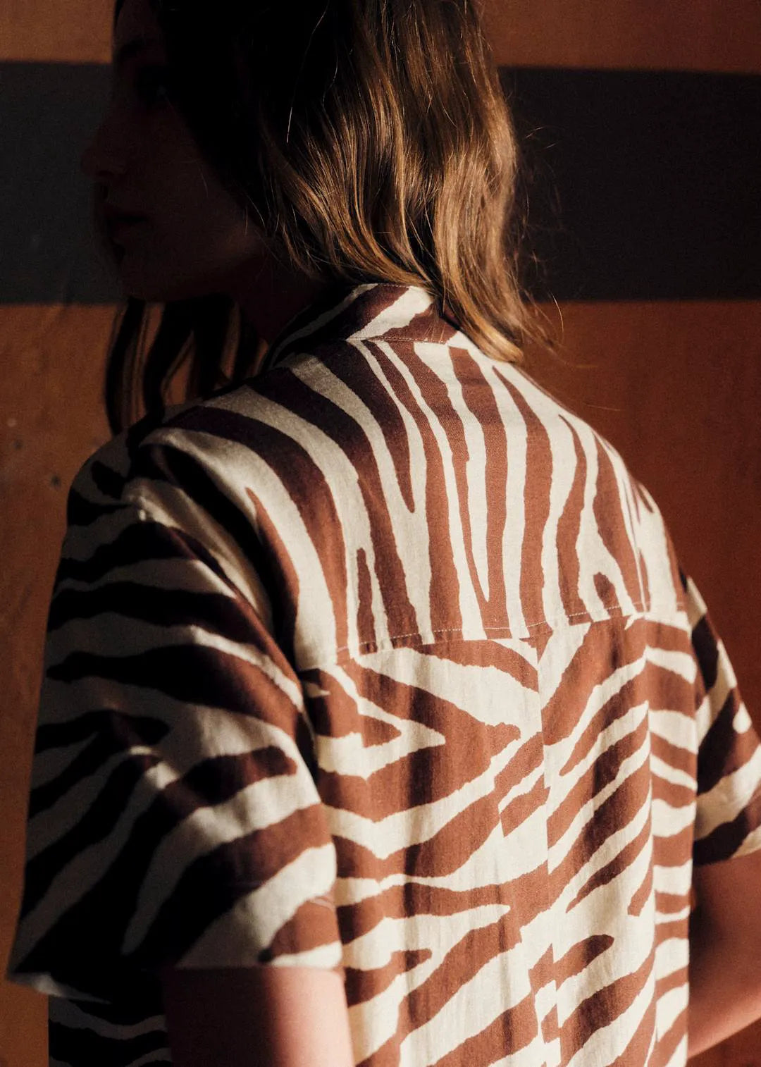Brown Zebra Print