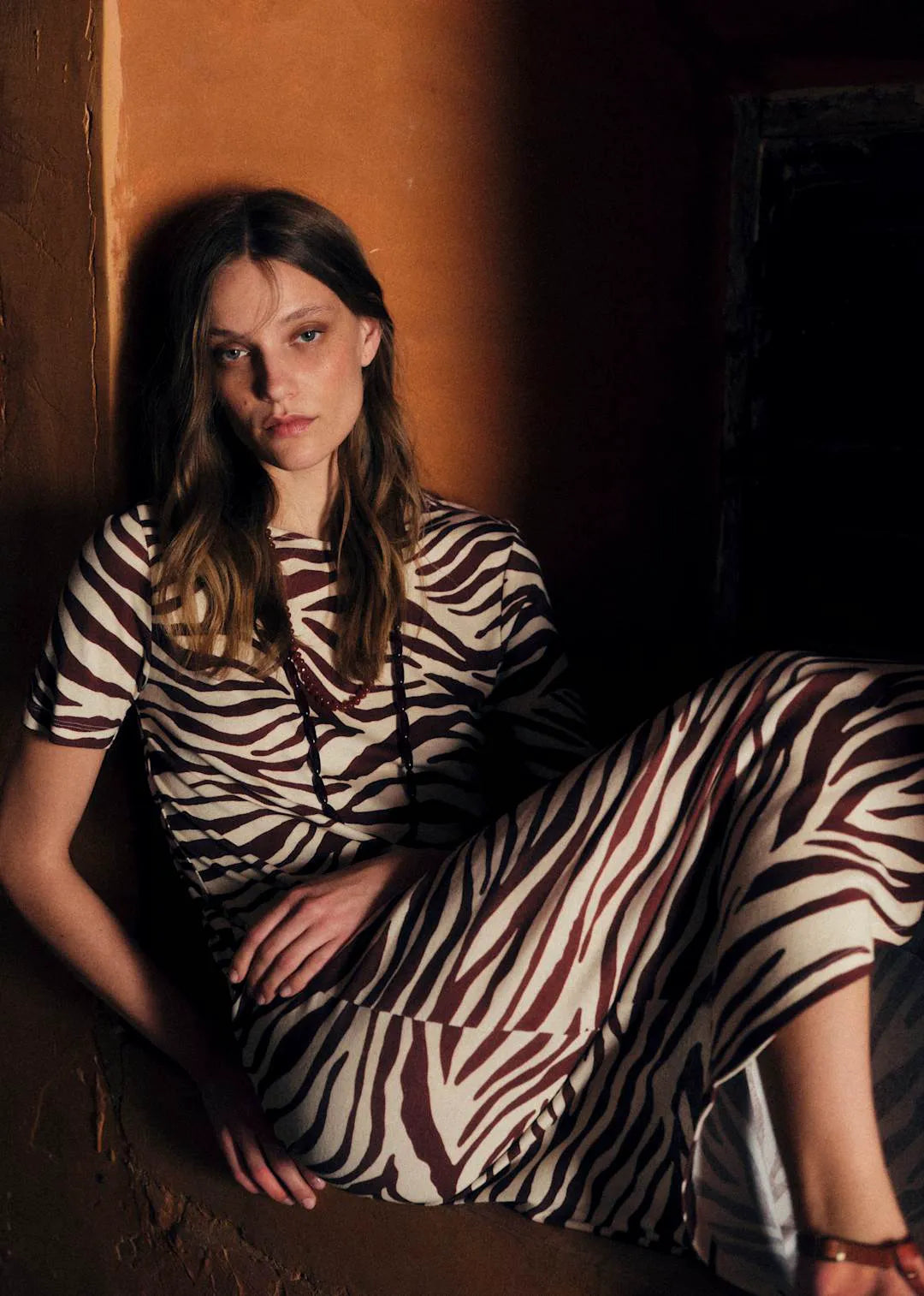 Brown Zebra Print