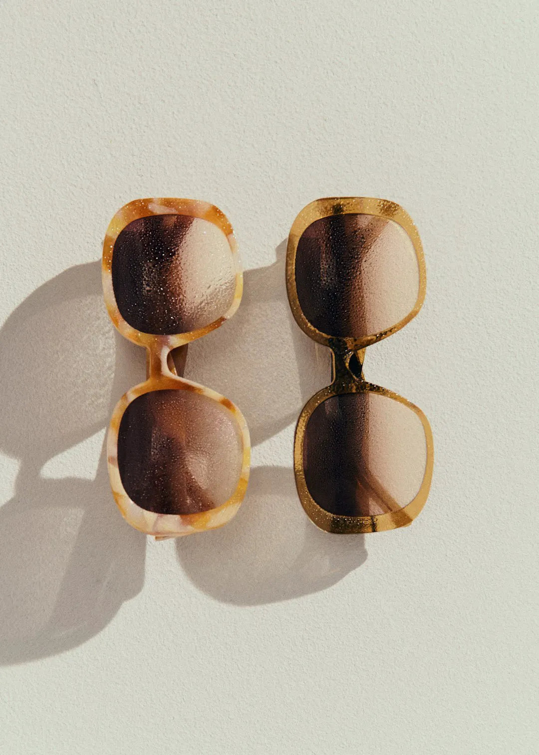 Yellow Tortoiseshell
