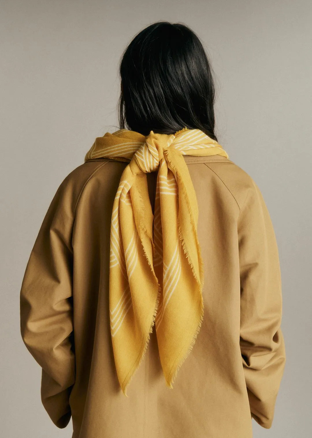 Flax Yellow Quartet - Solidarity Creation