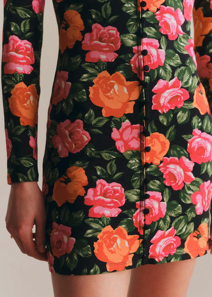 Anarosa Print