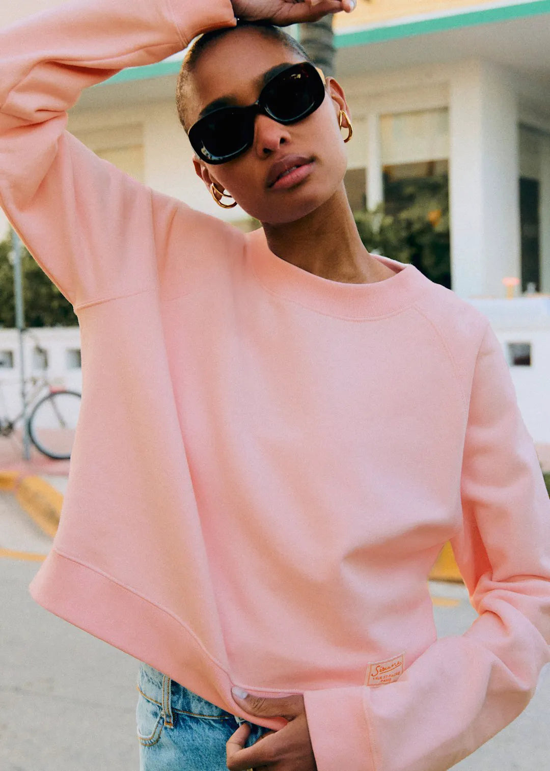 Pale Pink - Rose Creation