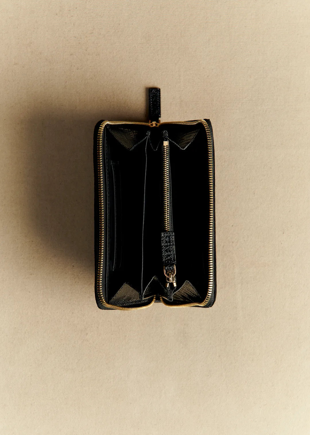 Black Tejus Bimaterial