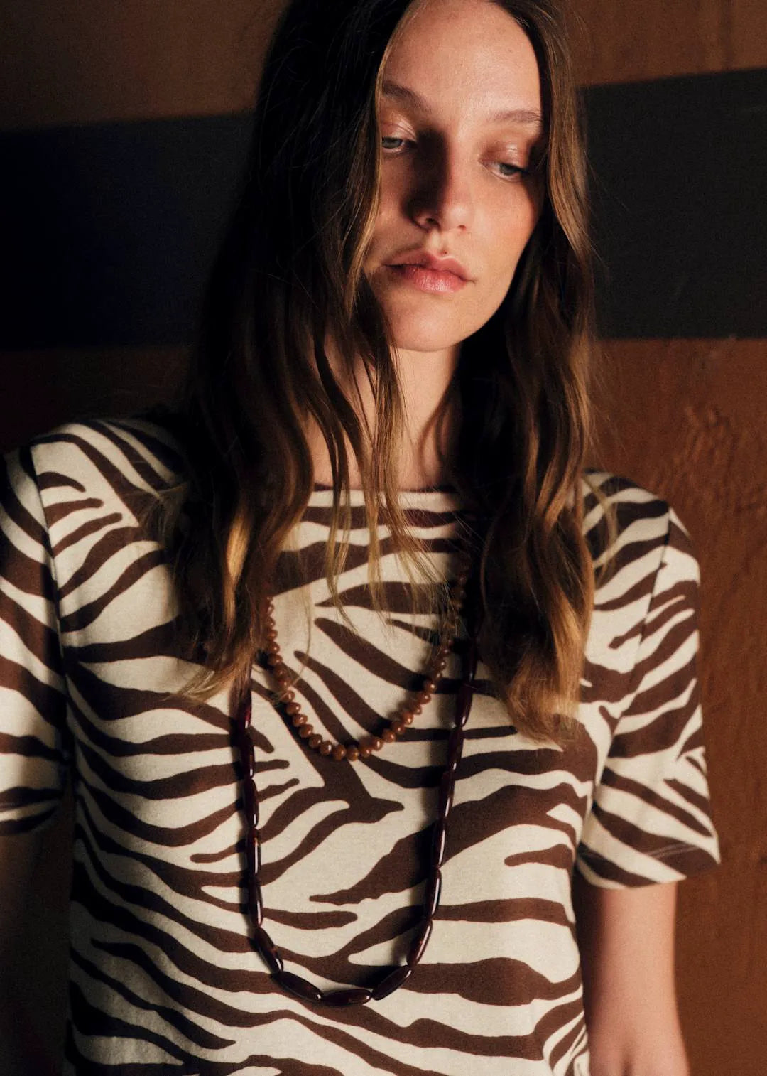 Brown Zebra Print
