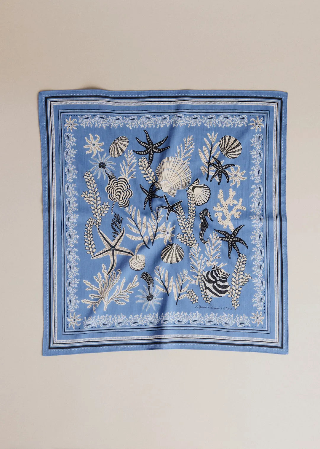 Blue Shells Print - Solidarity Creation