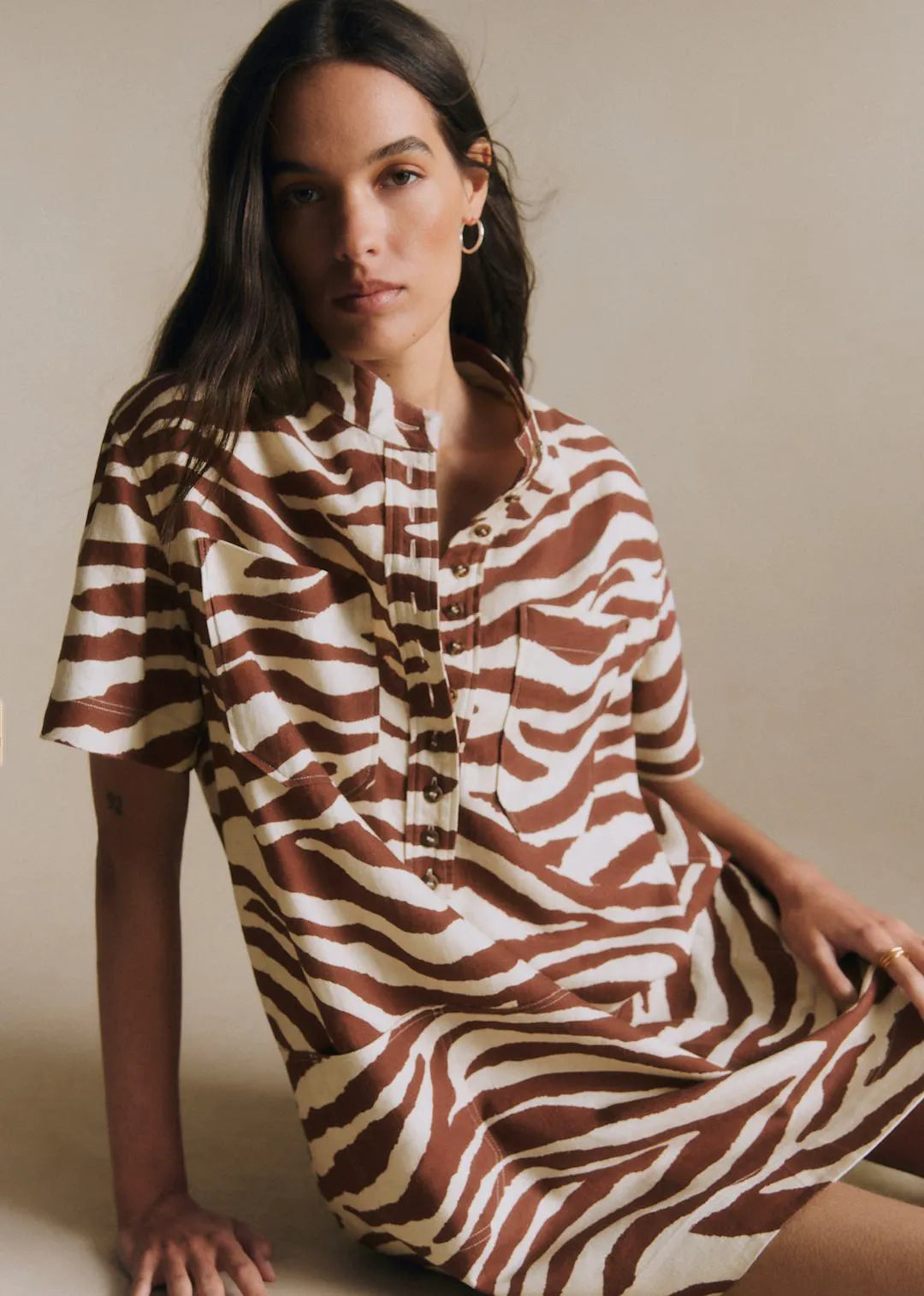 Brown Zebra Print