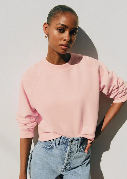 Pale Pink - Rose Creation