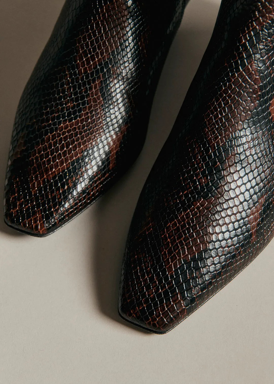 Brown Python Print