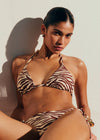 Brown Zebra Print