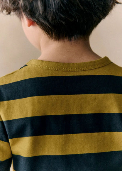 Navy / Anise Green
