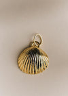 Gold Shell