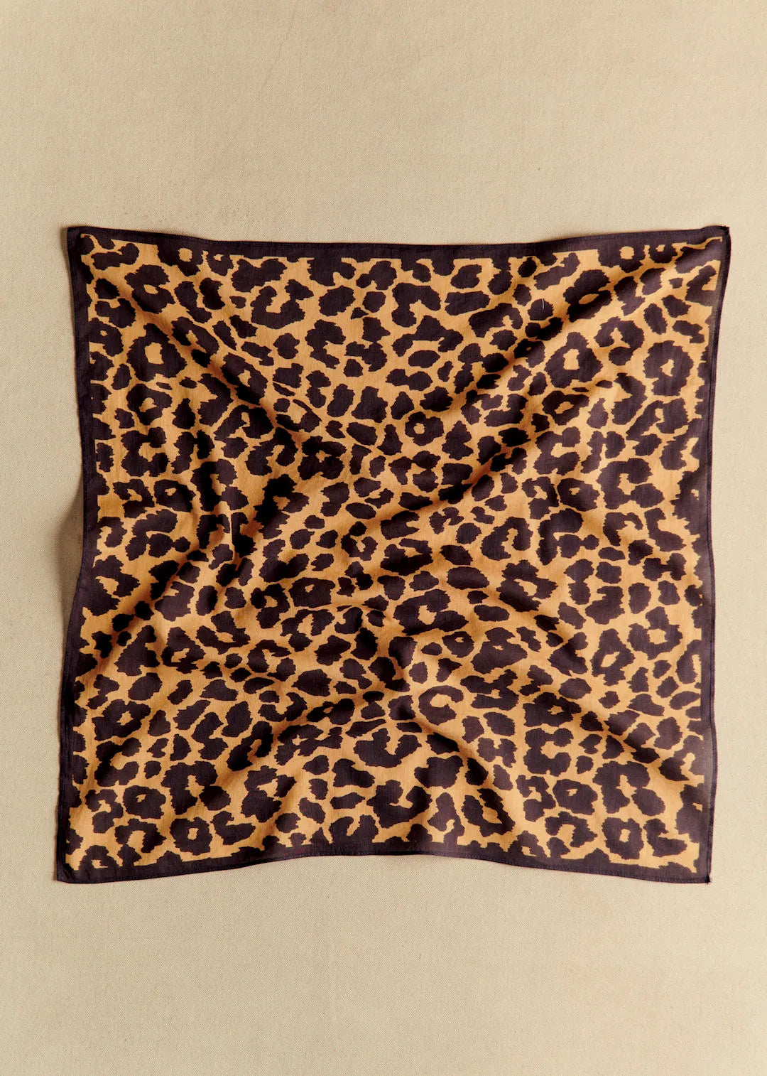 Two-tone Leo - Solidarity Creation