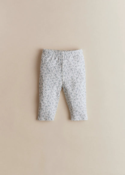 Blue Eglantine Print