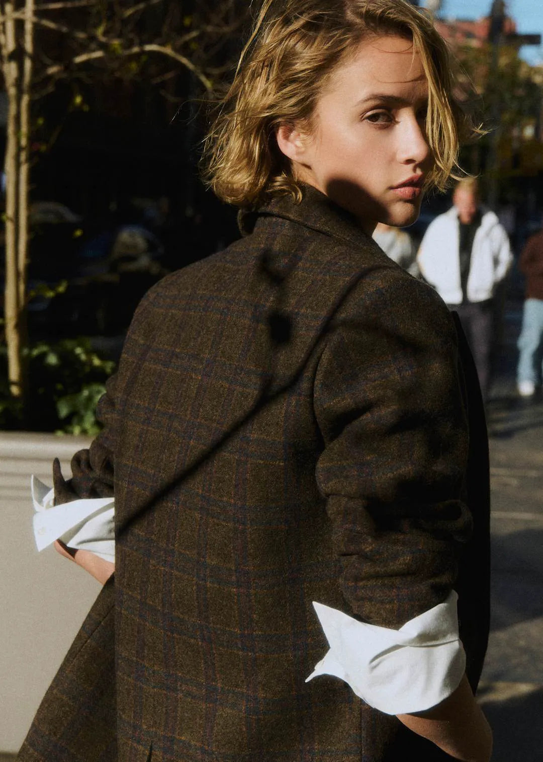 Green and Brown check