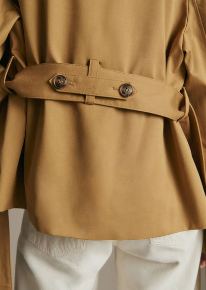 Dark Camel