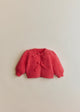 Bright Coral