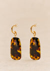 Tortoiseshell
