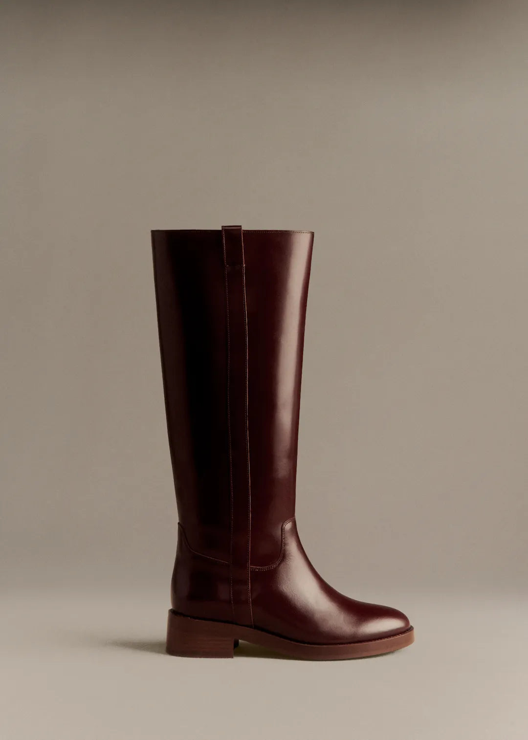 Glossy Chocolate