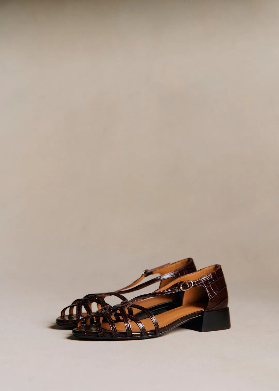 Brown Croco