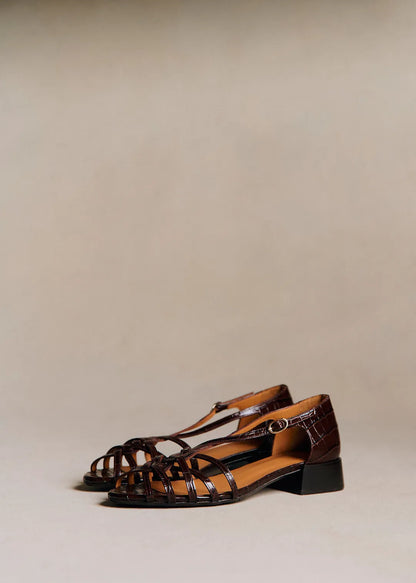 Brown Croco